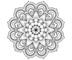 Element Image